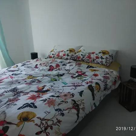 Bed & Breakfast Lumi Pets And Planet Friendly