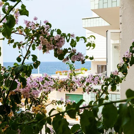 Bed & Breakfast Lumi Pets And Planet Friendly